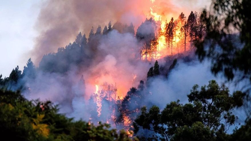 Incendios en Canarias: por qué ahora son menos frecuentes y más peligrosos