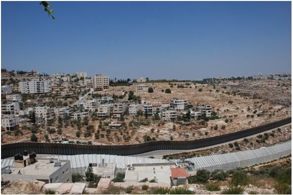 Imágenes captadas por Cristina Brito durante su estancia en Palestina.