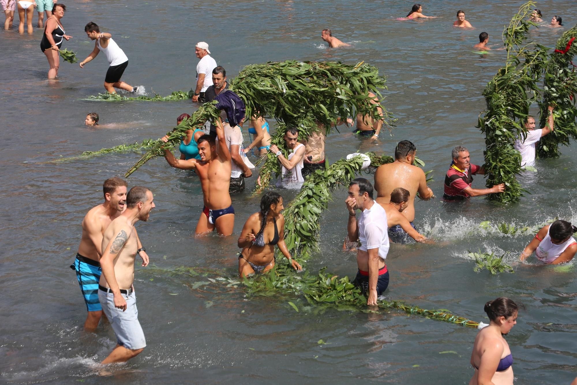 Fiesta de La Rama 2016 en Agaete (ALEJANDRO RAMOS)