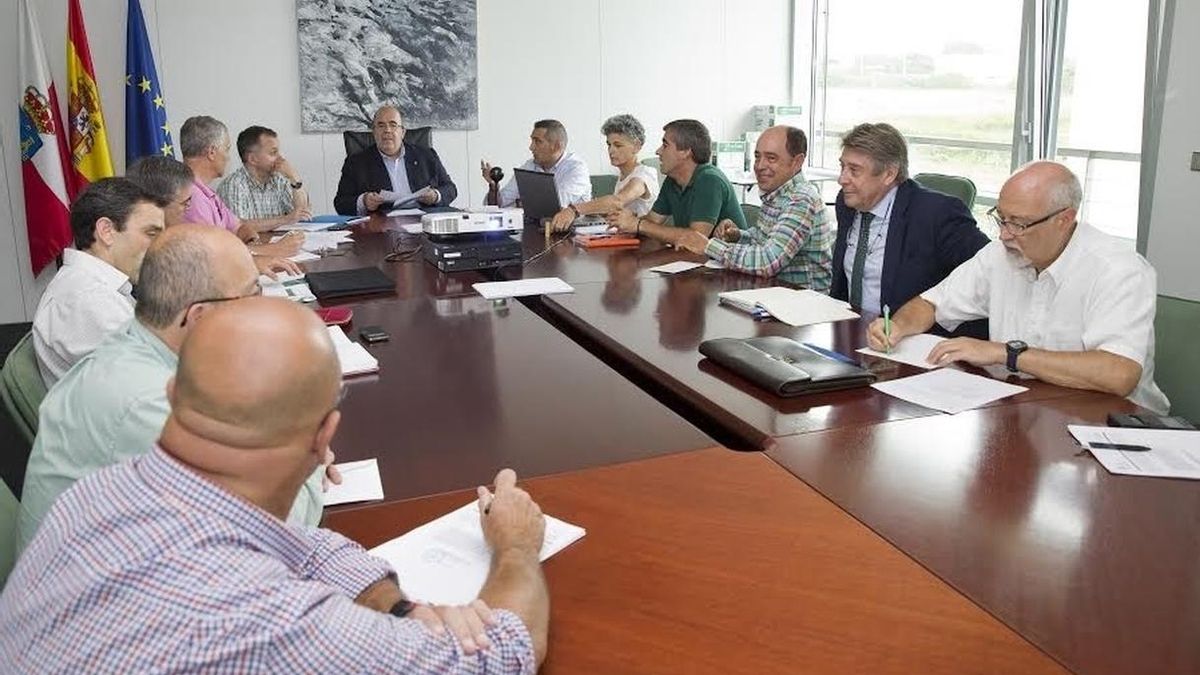 Cantabria aprueba un plan de lucha integrada contra las plagas del eucalipto