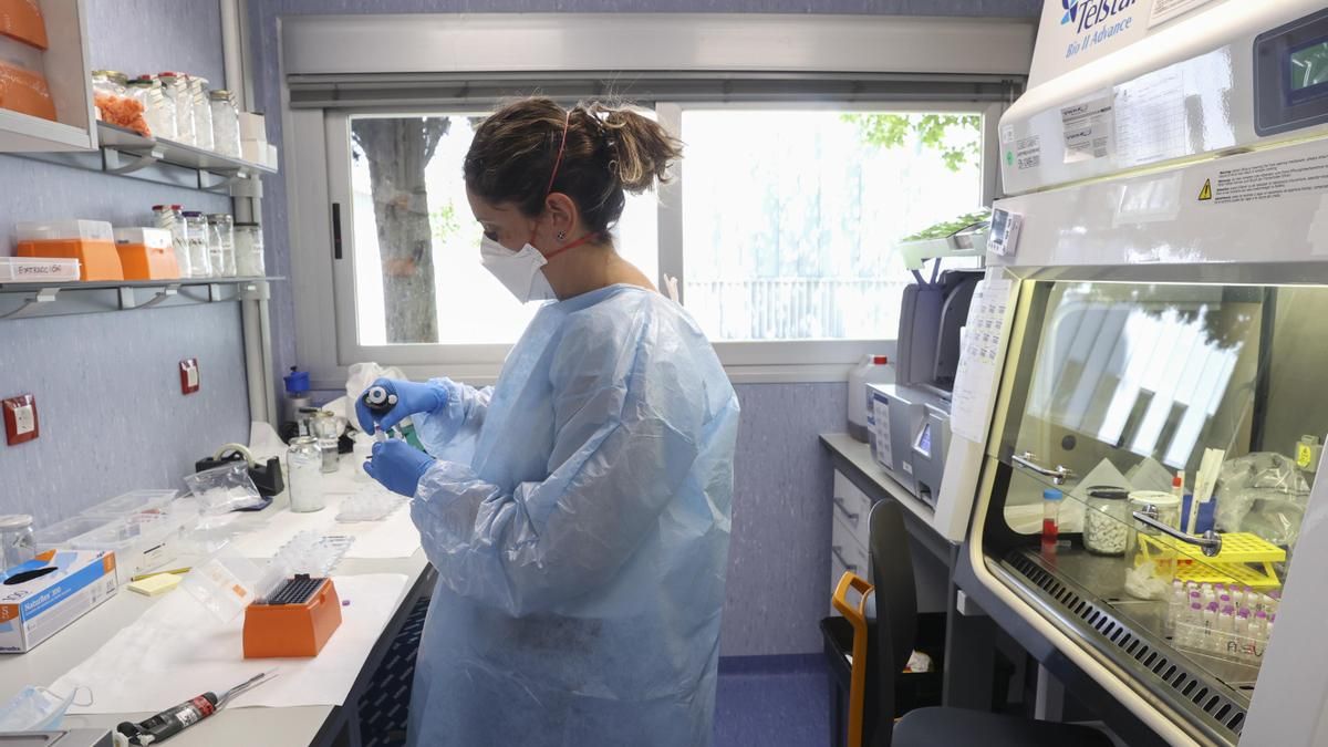 El laboratorio de arbovirus y enfermedades víricas importantes del Centro Nacional de Microbiología.