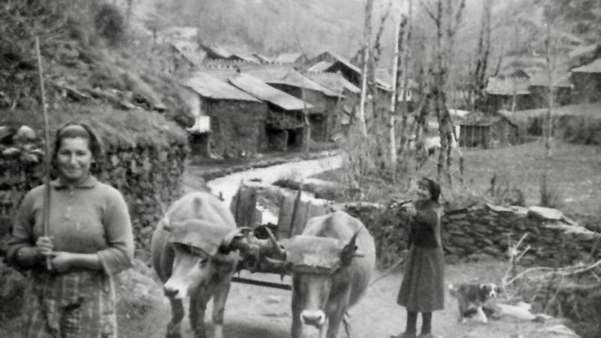 Isolina Pérez Tejón, en primer término con su madre, Consuelo, en una imagen antigua con las vacas en la localidad de Primout. 