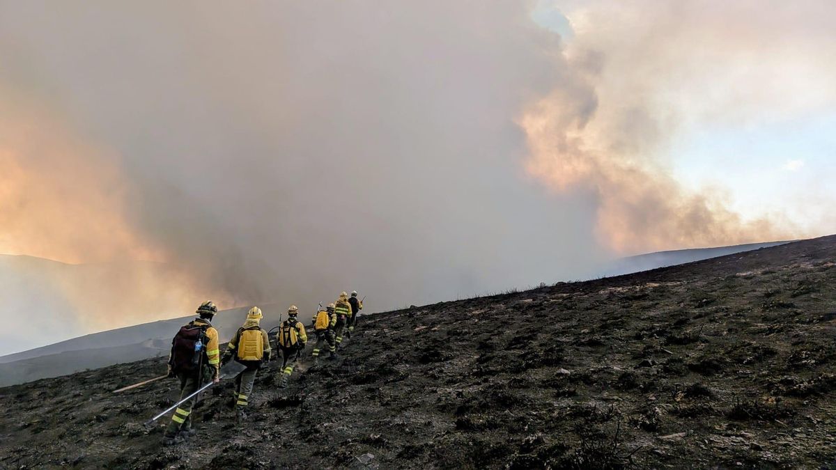 Los brigadistas de la Elif de Lima 2 dirigiéndose al peligroso frente de Llamas de Cabrera, sector de Corporales.