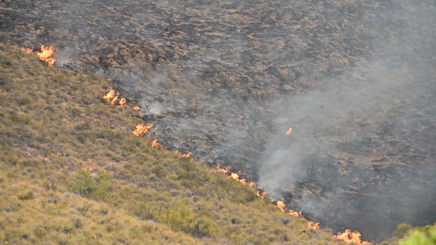 Vista de uno de los focos del incendio forestal declarado en Los Gallardos, Almería.