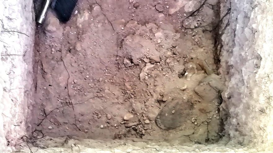 Suela en la fosa de Manzanares