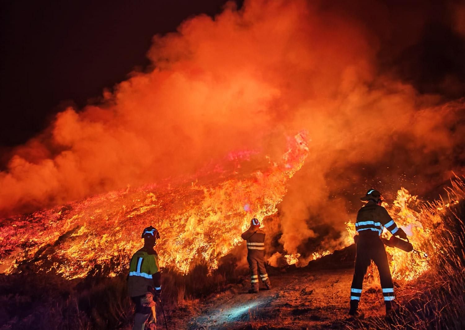 Bomberos luchan contra las llamas en un incendio forestal de estos infaustos días de agosto.