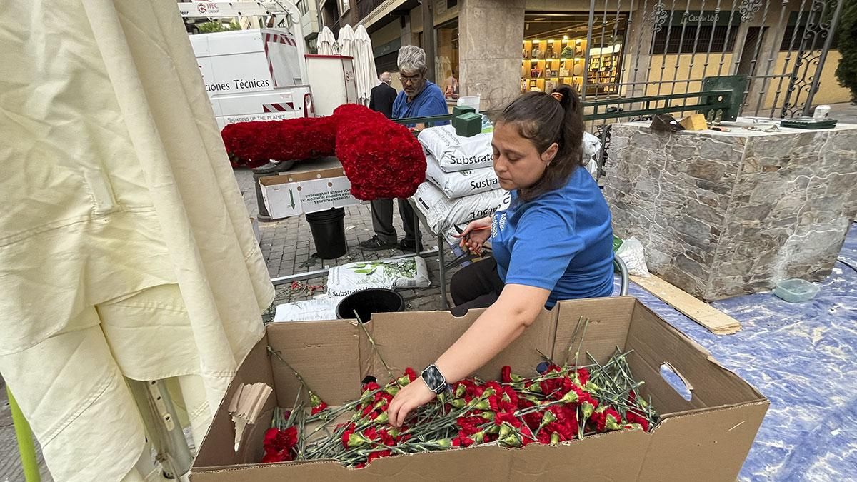 Montaje de la Cruz de Mayo de la plaza de San Hipólito