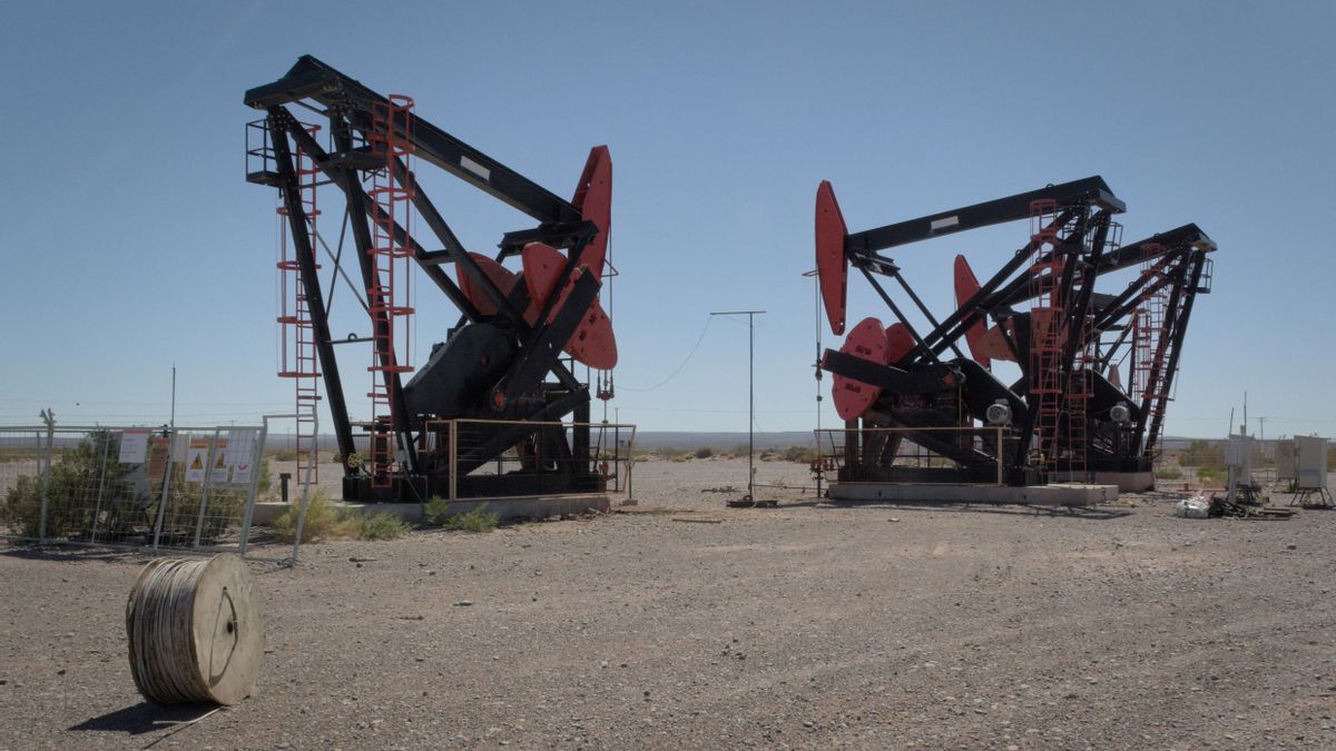 Las cigüeñas petroleras, parte del paisaje del corredor neuquino de Vaca Muerta.