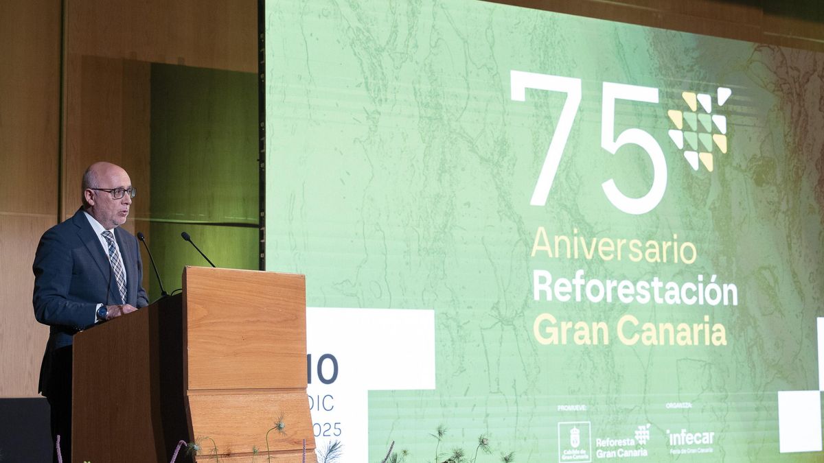 75 años de reforestación en Gran Canaria