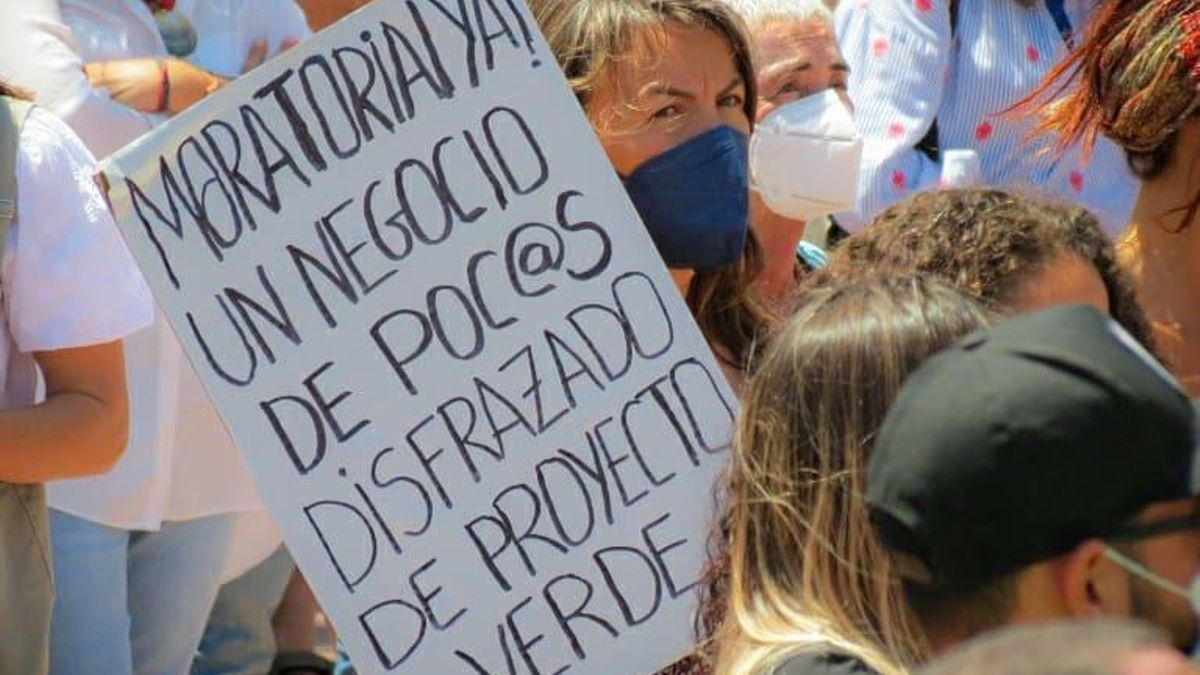 Imágenes durante la manifestación en Fuerteventura