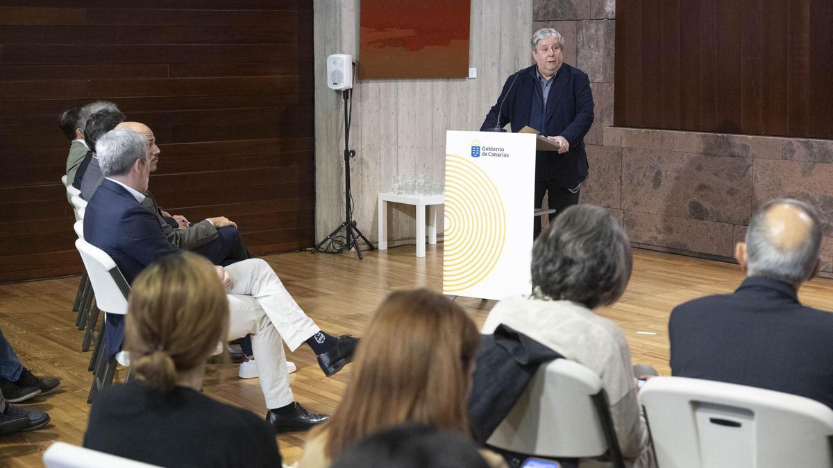 El presidente del comité, Juan Manuel Palerm Salazar, durante su intervención este martes.