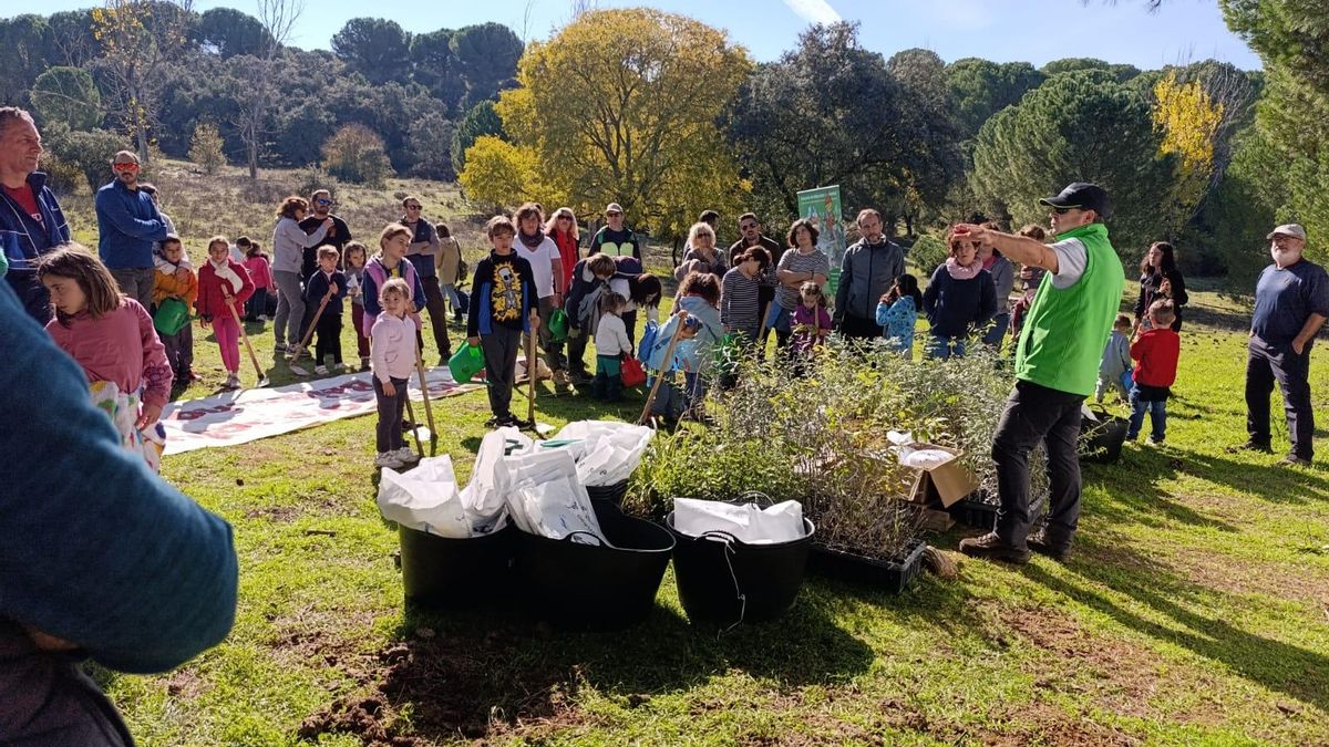 ¡Planta un árbol y apadrínalo!: una nueva jornada de plantación para conservar el entorno del arroyo Bejarano