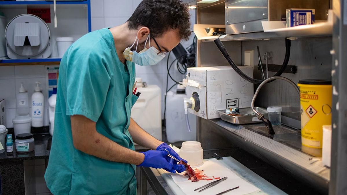 Trabajadores de Anatomía Patológica