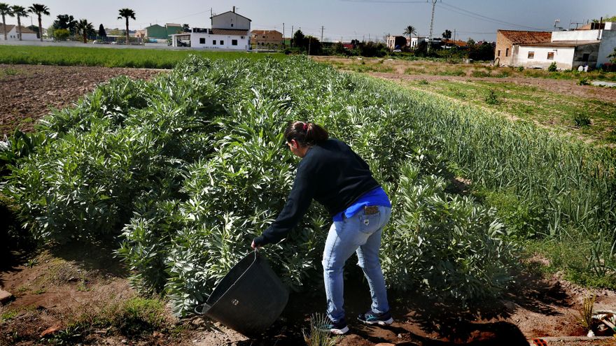 El Día de las Mujeres Rurales se celebrará en Castilla-La Mancha con una campaña para "desterrar su imagen estereotipada"