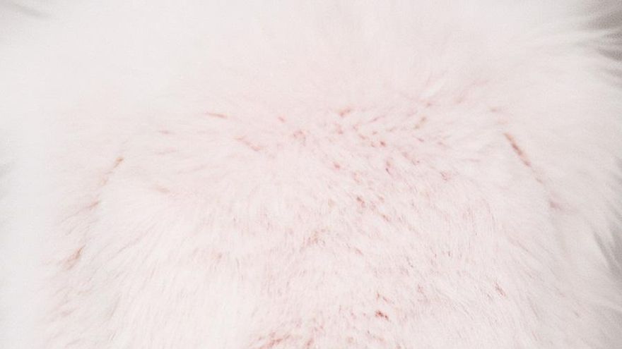 El festival Música en Grande 2025 desvela el reparto de artistas de cada jornada y pone a la venta las entradas de día