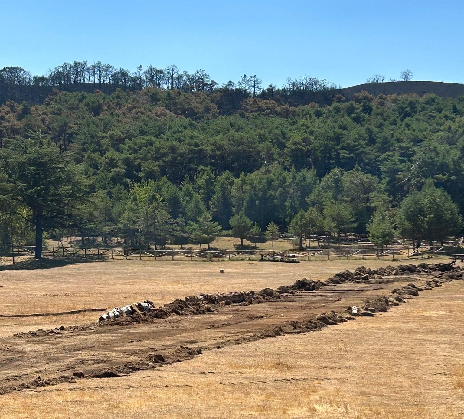 Trabajos que se realizaron en el entorno del Monasterio Nuevo para preservarlo de las llamas