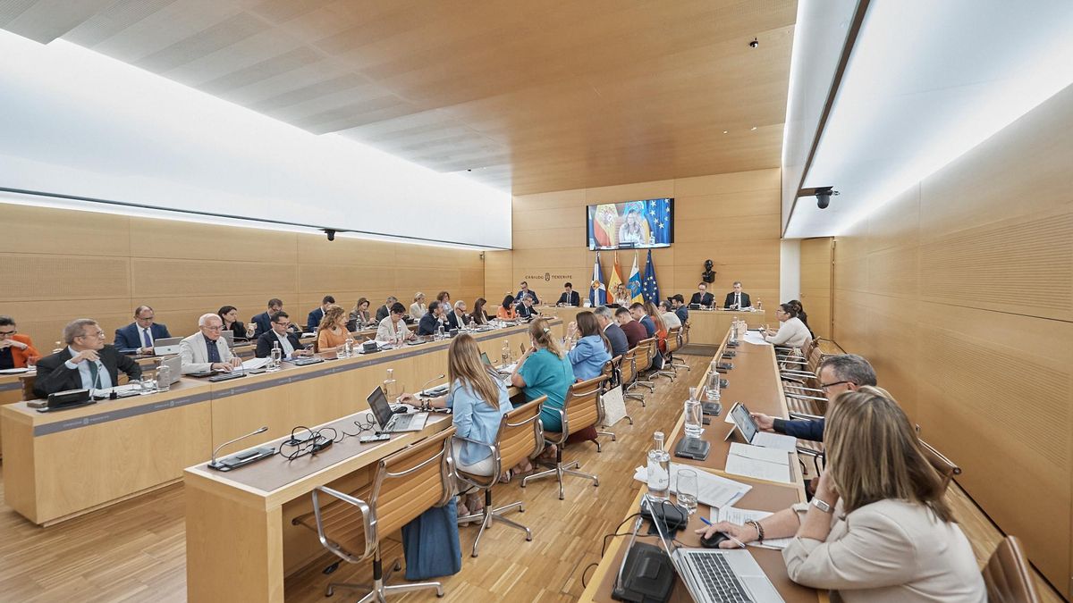 El Cabildo de Tenerife encargará un estudio para poder actuar como avalista en el alquiler para jóvenes