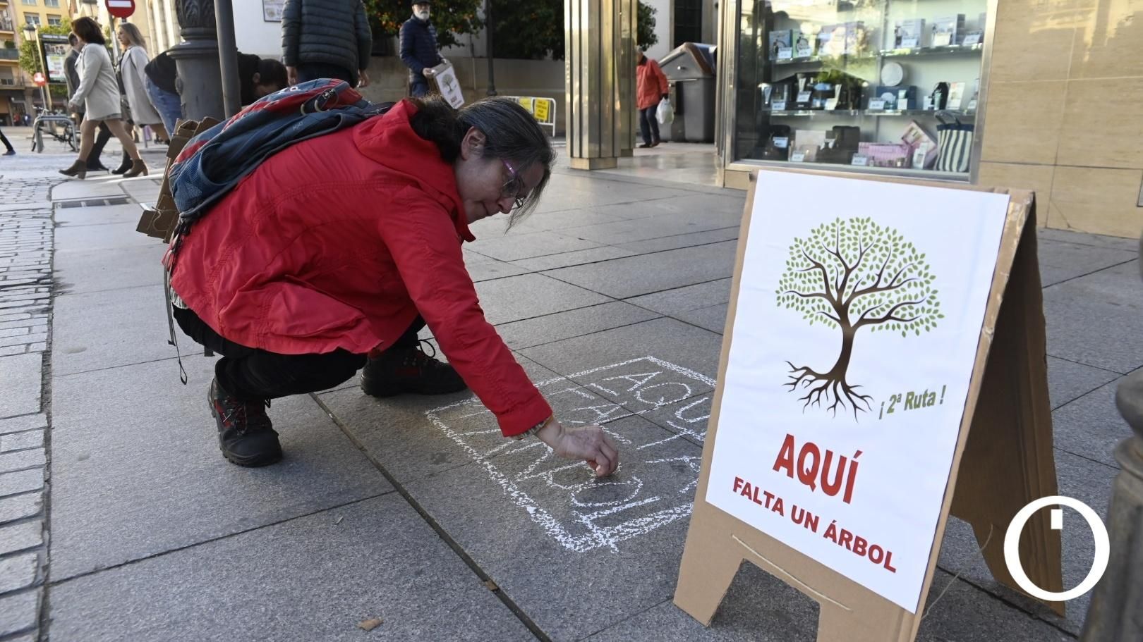 Ruta de aquí falta un árbol