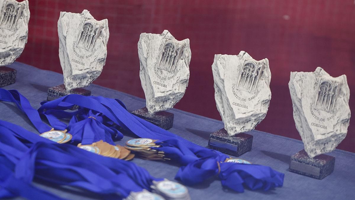 XV Trofeo Ciudad de Córdoba de Natación