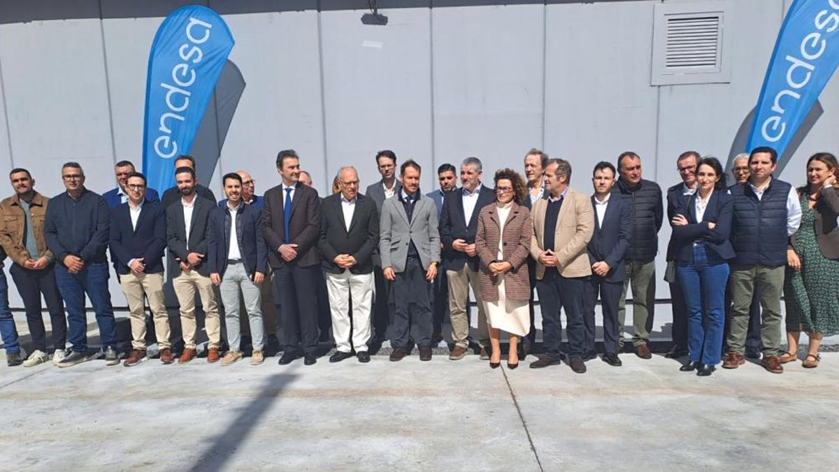 Endesa construye "en tiempo récord" la nueva subestación El Palmar, que transformará la energía del cable submarino Tenerife-La Gomera