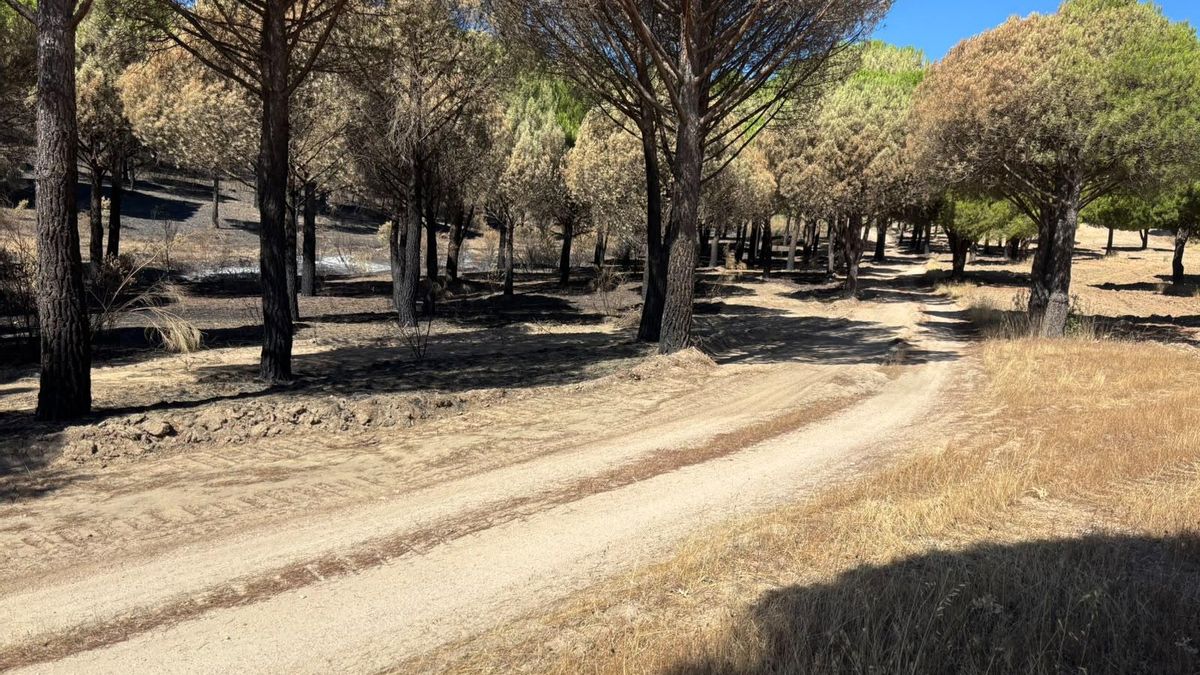 Finca El Quexigal, en Cebreros.
