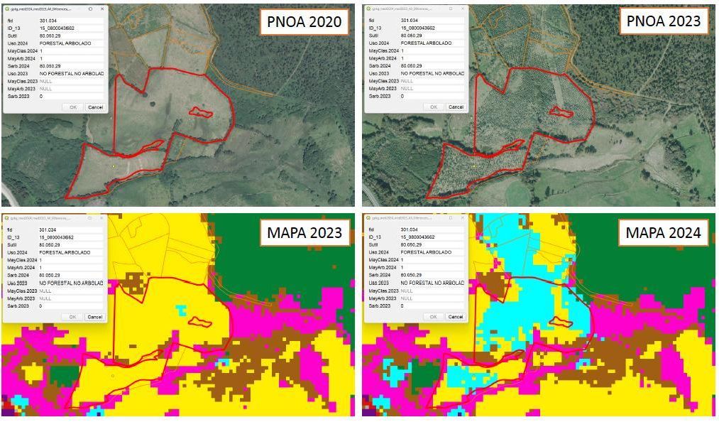 Proceso de sustitución de una parcela de pastos (amarillo) por eucalipto (azul) a través del mapa vectorial del IFC