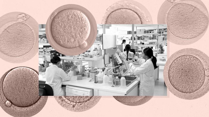 Women cannot destroy their frozen eggs and pre-embryos even if they no longer need them