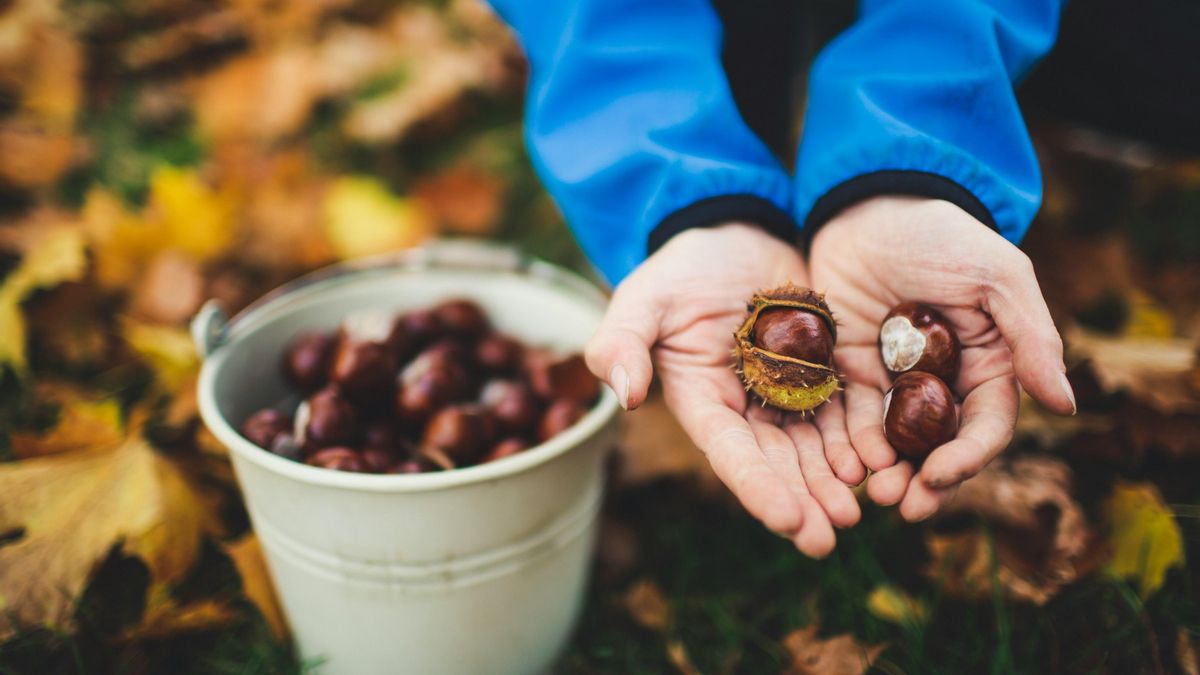 Del orujo a las castañas: siete fiestas de otoño en pueblos de España que merece la pena conocer