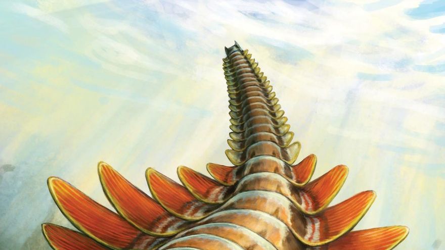 Descubren un nuevo y pequeño depredador con tres ojos y 506 millones de años de antigüedad