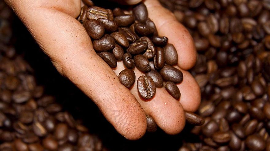 Por qué algunas personas encuentran el café más amargo que otras