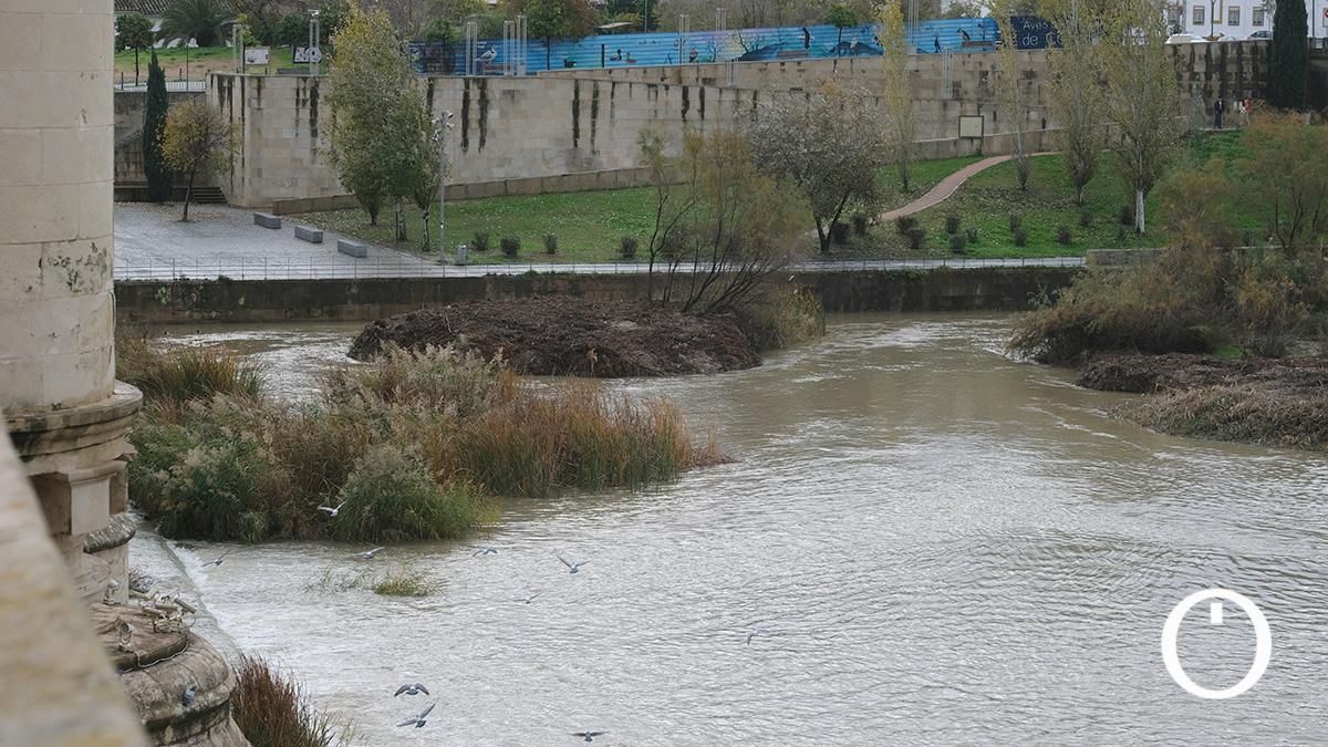 Así va el río Guadalquivir a su paso por Córdoba después de las últimas lluvias