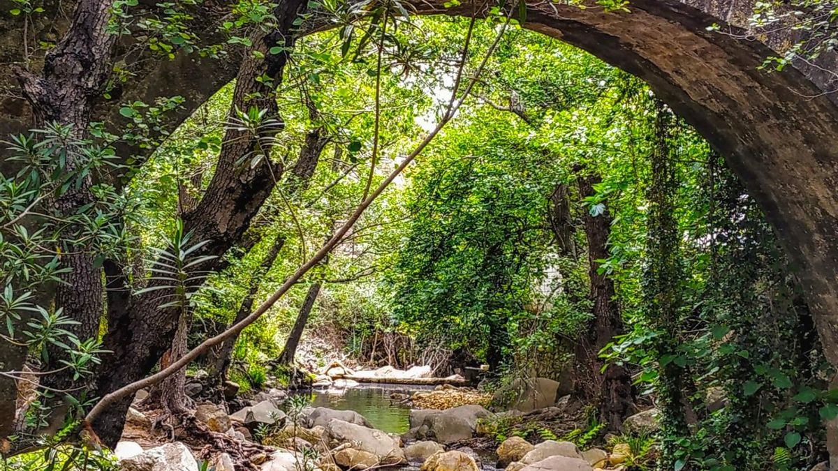 El rumor del agua y el frescor del bosque de galería acompañan fielmente al caminante hacia una recompensa final inolvidable