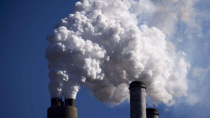 WWF dice que solo el 9 % de los bancos en AL tiene compromiso con meta de emisiones cero