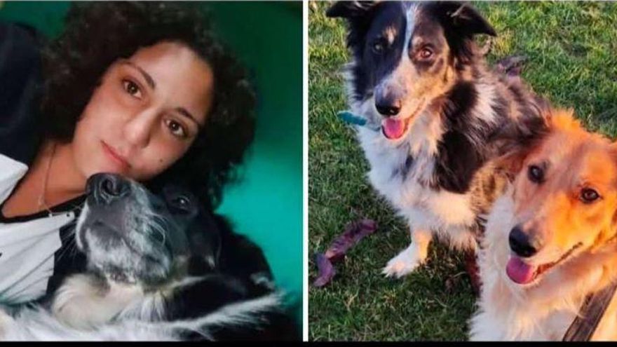 Reanudan la búsqueda de la joven de Haro desaparecida con el equipo Pegaso, perros y agentes de actividades subacuáticas