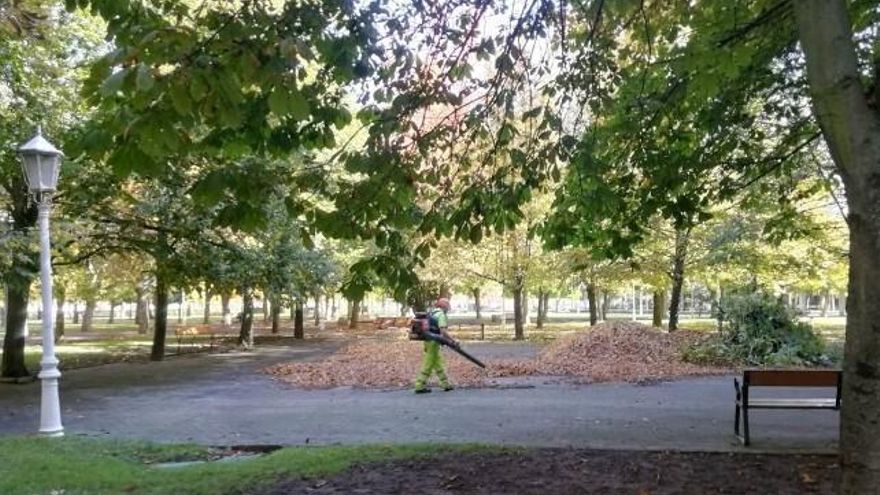 Soplando y amontonando hojas, castañas y ramas.