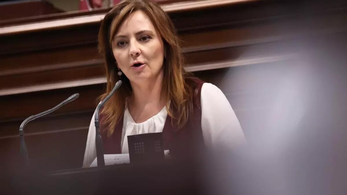 Nieves Lady Barreto acusa al PSOE de querer solo saber si cobró "Pepito o Juanito" ayudas por la reconstrucción de La Palma
