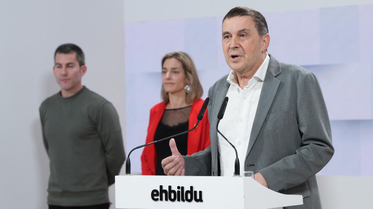 El coordinador general de EH Bildu, Arnaldo Otegi, durante una rueda de prensa