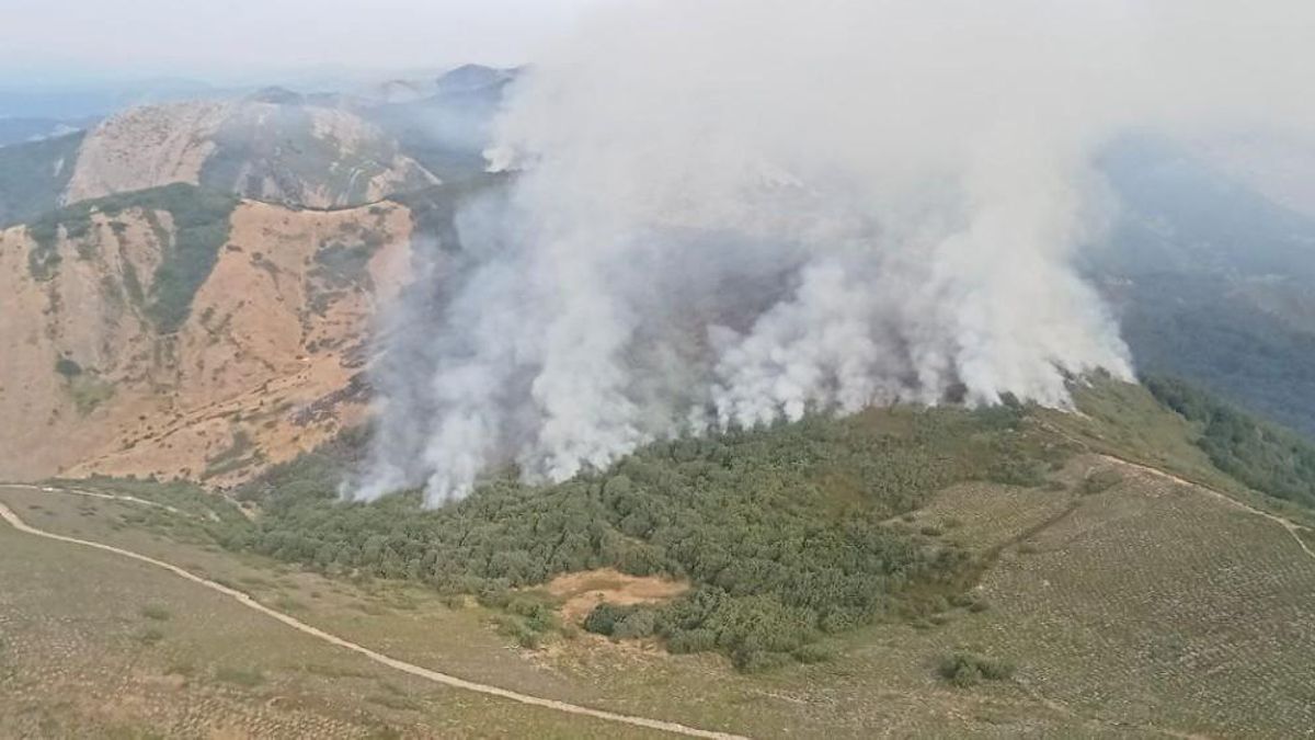 Momento de fuego en el valioso bosque del monte de Olleros de Alba.