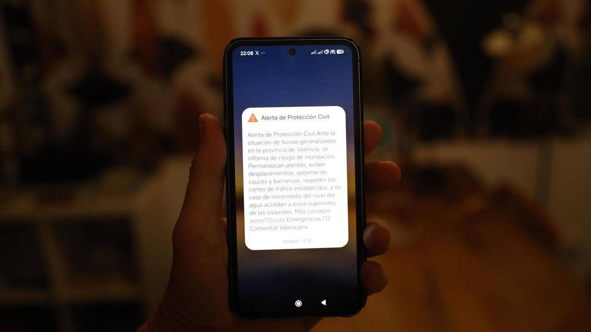 El mensaje Es Alert enviado el miércoles a las 22.08 horas.