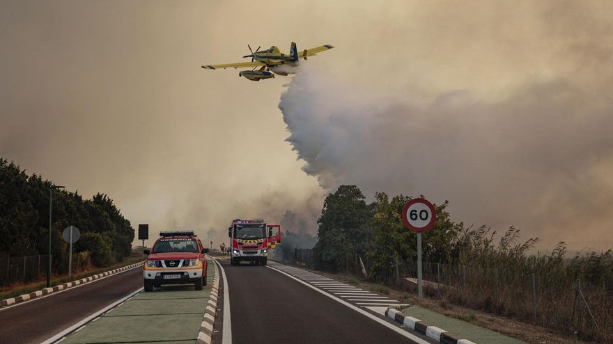La UME se incorpora a las tareas de extinción del incendio en el paraje natural del Saler ante el avance descontrolado de las llamas