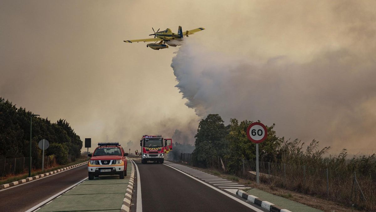 El avance del fuego en el paraje natural de la Devesa, en València, obliga a desalojar los cámpings y el pueblo de El Saler