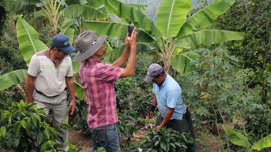 El agro colombiano se moderniza para atraer a "millennials" y superar la pobreza