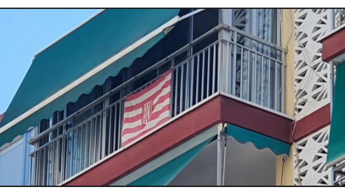 Fotografía captada por la Guardia Civil de una de las viviendas en Benidorm.