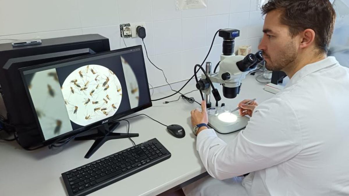 Imagen de Daniel Bravo, el investigador de la UCO que ha participado en el estudio.