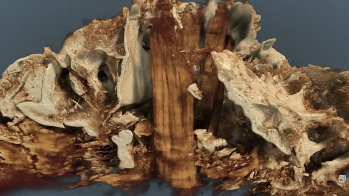 Hace 10.500 años alguien levantó un poste con un cráneo de uro y dejó una pista sobre las primeras creencias en espíritus de la naturaleza