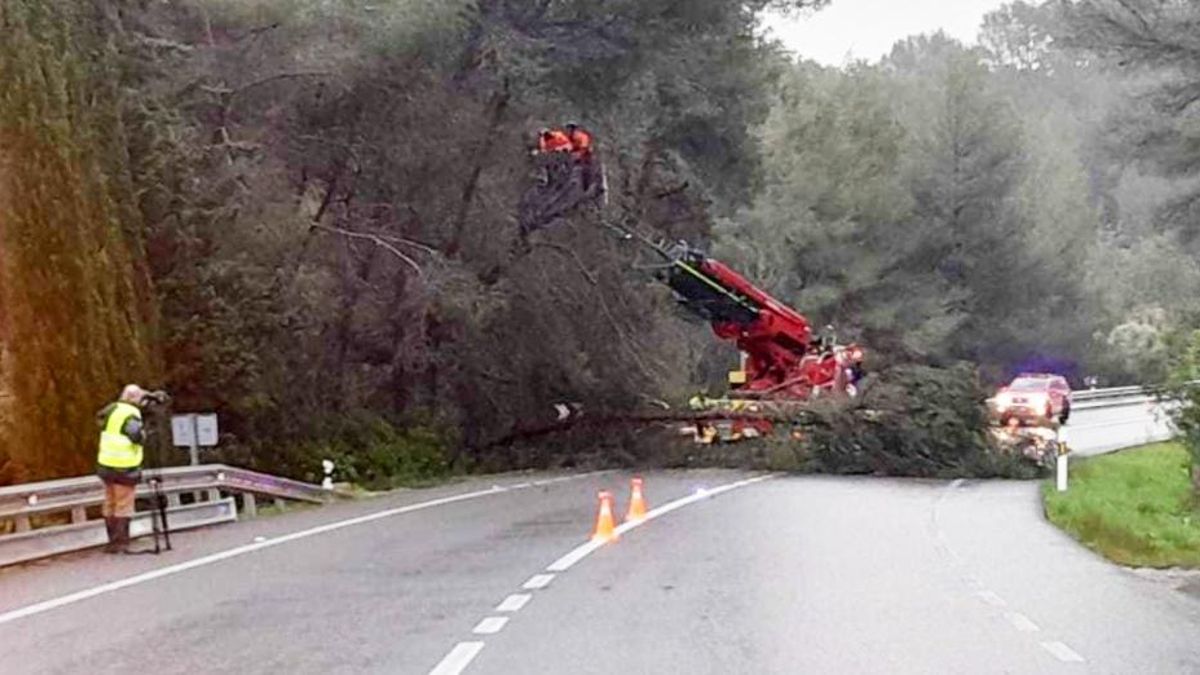 Los equipos de emergencias, actuando en una de las carreteras de Eivissa