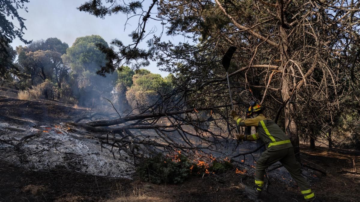 Un nuevo incendio en la Sierra Oeste de Madrid obliga a confinar a los vecinos de Aldea del Fresno y Villamantilla