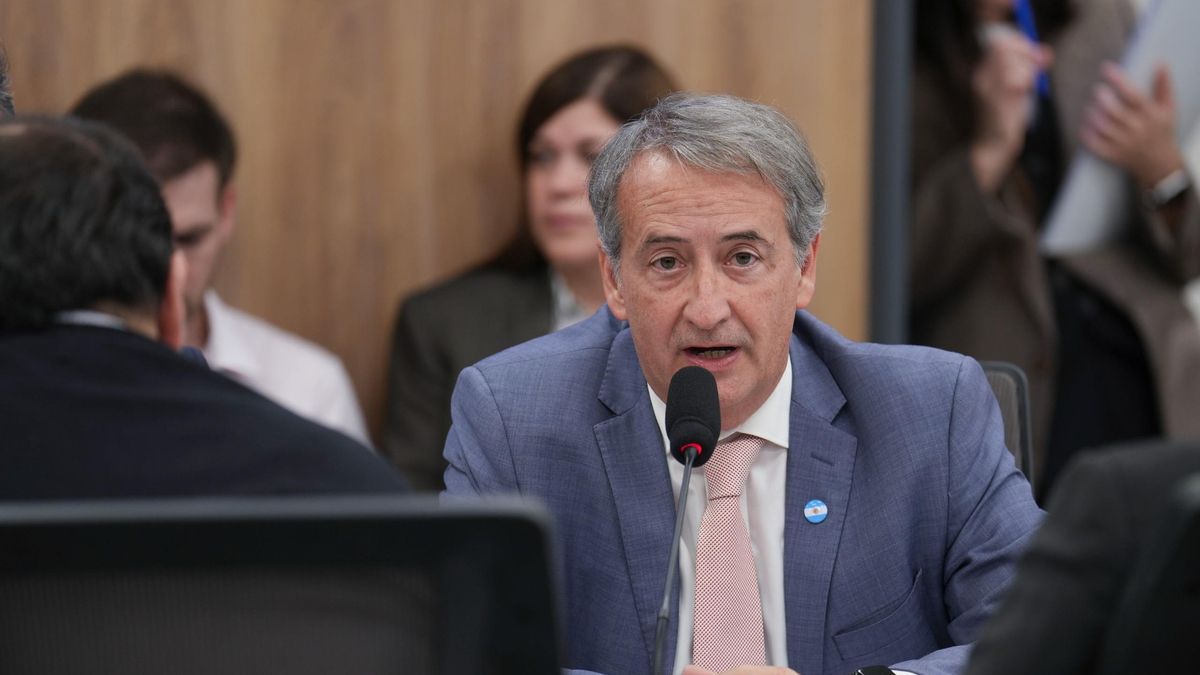 Nicolás Mayoraz, el diputado libertario que ejerció la defensa oficial del Gobierno