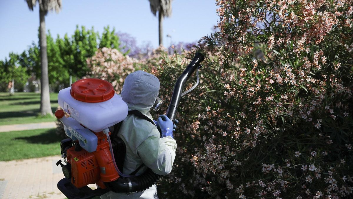 Archivo - Sevilla.-Villamanrique realizará un tratamiento específico contra los mosquitos para prevenir el Virus del Nilo