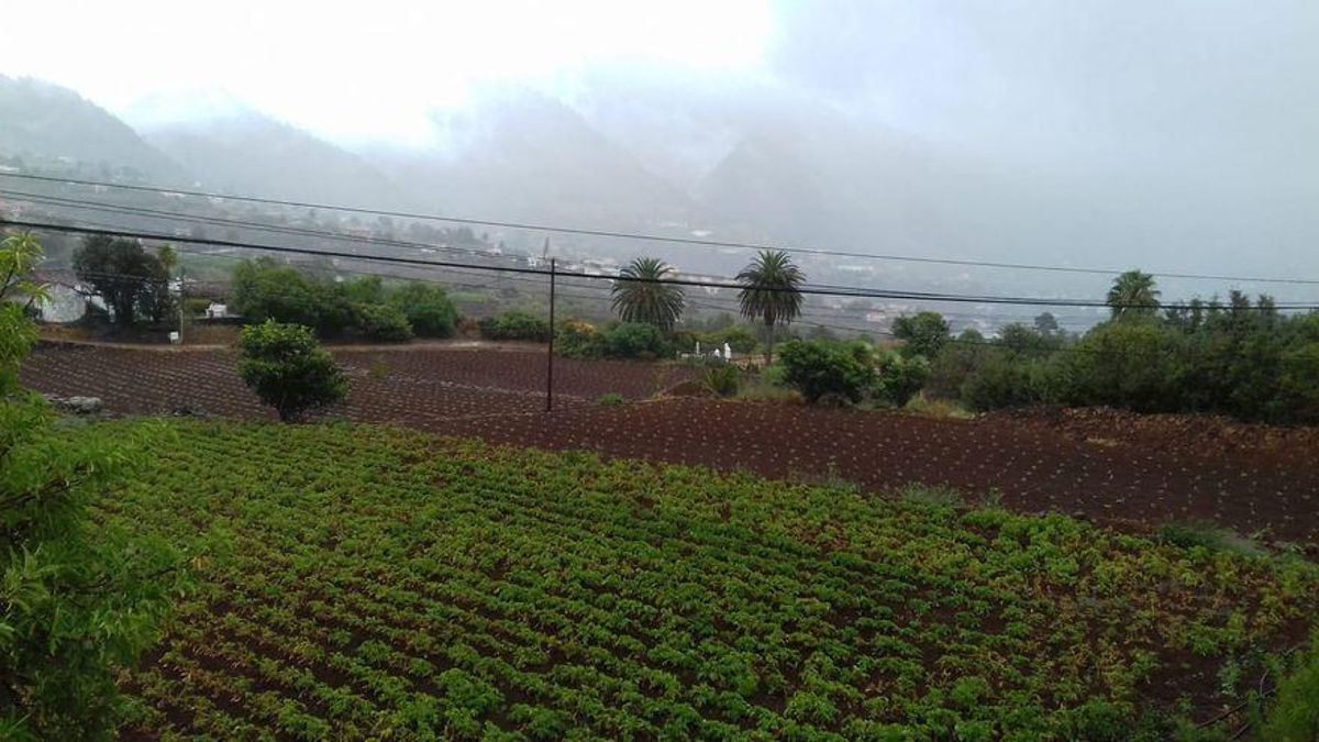 Zona de cultivos de la comarca este de La Palma